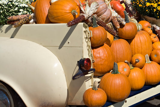 Pumpkin Haul